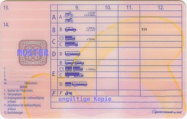 Führerschein im Scheckkartenformat. Rückwärtige Ansicht mit Klasseneintragungen.